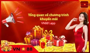 Tổng quan về chương trình khuyến mãi hoàn trả